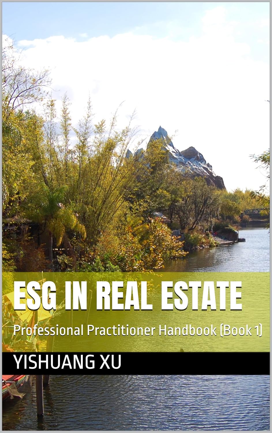 ESG in Real Estate: Professional Practitioner Handbook